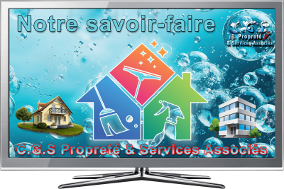 CGS Propreté & services associés Là où C.G.S passe, la saleté trépasse