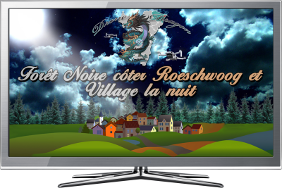 Forêt Noire côté Roeschwoog et Village la nuit