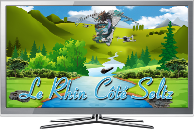 Le Rhin côté SELTZ